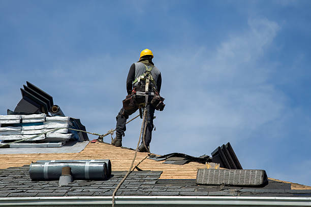 Professional Flat Roof Repair technician working in Bushland, TX